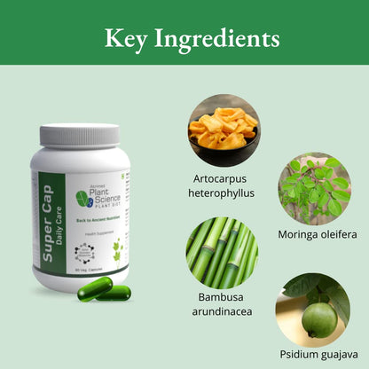 Atrimed Plant Science Plant Diet Super Cap 60 Capsules per Bottle