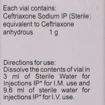 Accuzon - Vial of 1gm Injection