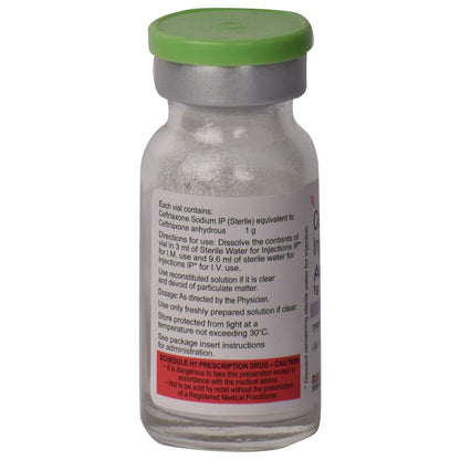 Accuzon - Vial of 1gm Injection