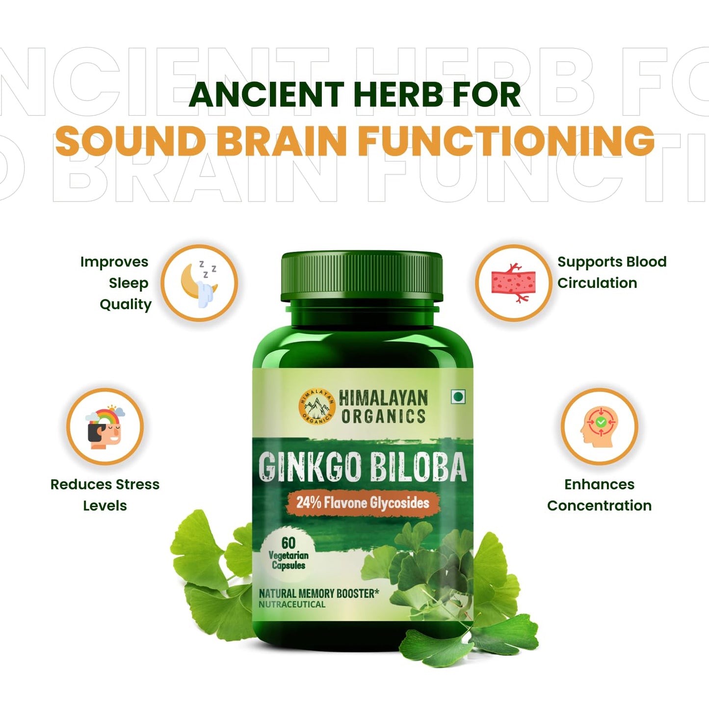 Himalayan Organics Ginkgo Biloba 500mg With Brahmi for Better Concentration, Memory & learning | Helps Anxiety & Stress | Healthy Blood Circulation - 60 Veg Capsules