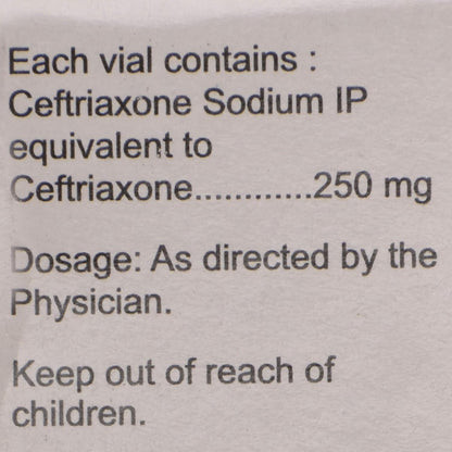 Xone 250mg - Vial of 250 mg Injection