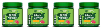 Vruksha Vitals Ginkgo Biloba - Brain Support 200 tablets x Pack of 2