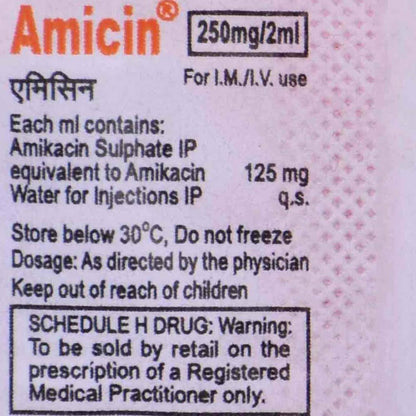 AMICIN 250MG INJECTION