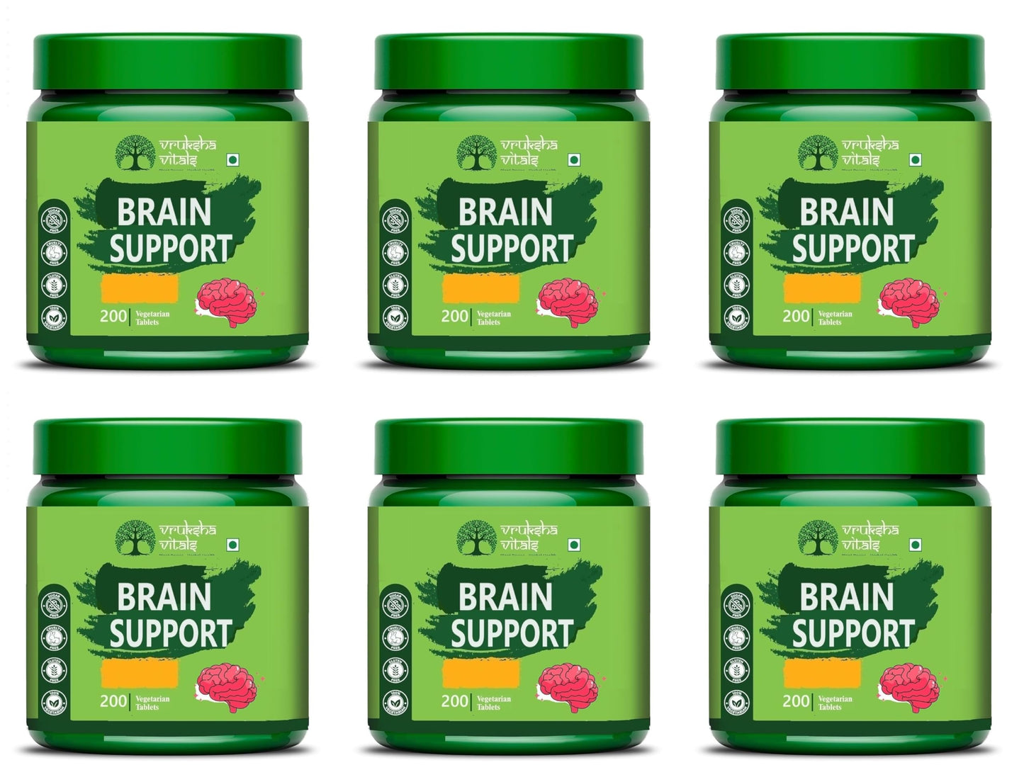 Vruksha Vitals Ginkgo Biloba - Brain Support 200 tablets x Pack of 2