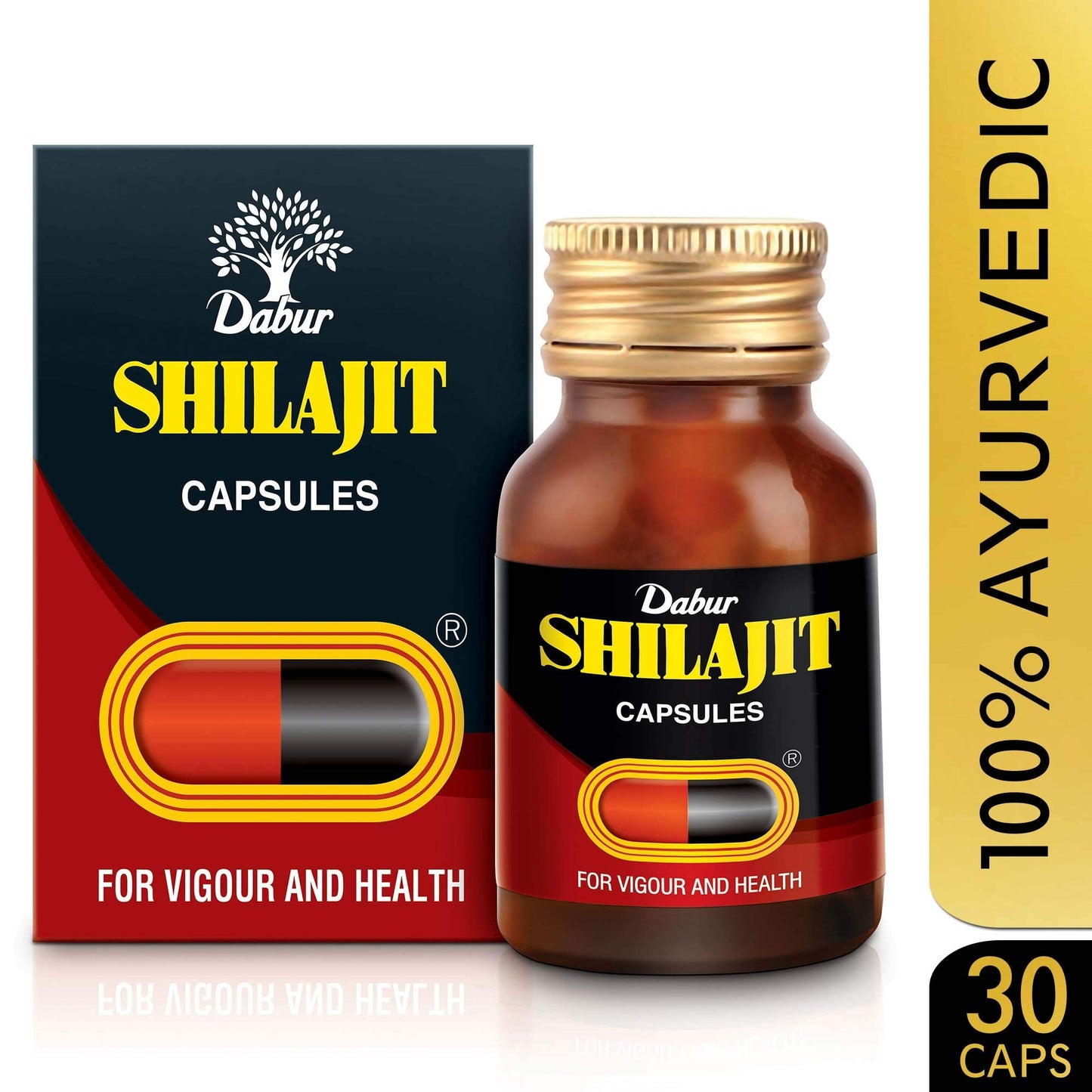 Dabur Shilajit Gold - 20 Capsules | 100% Ayurvedic Capsules for Strength , Stamina and Power | Premium Ayurvedic Supplement | For Men